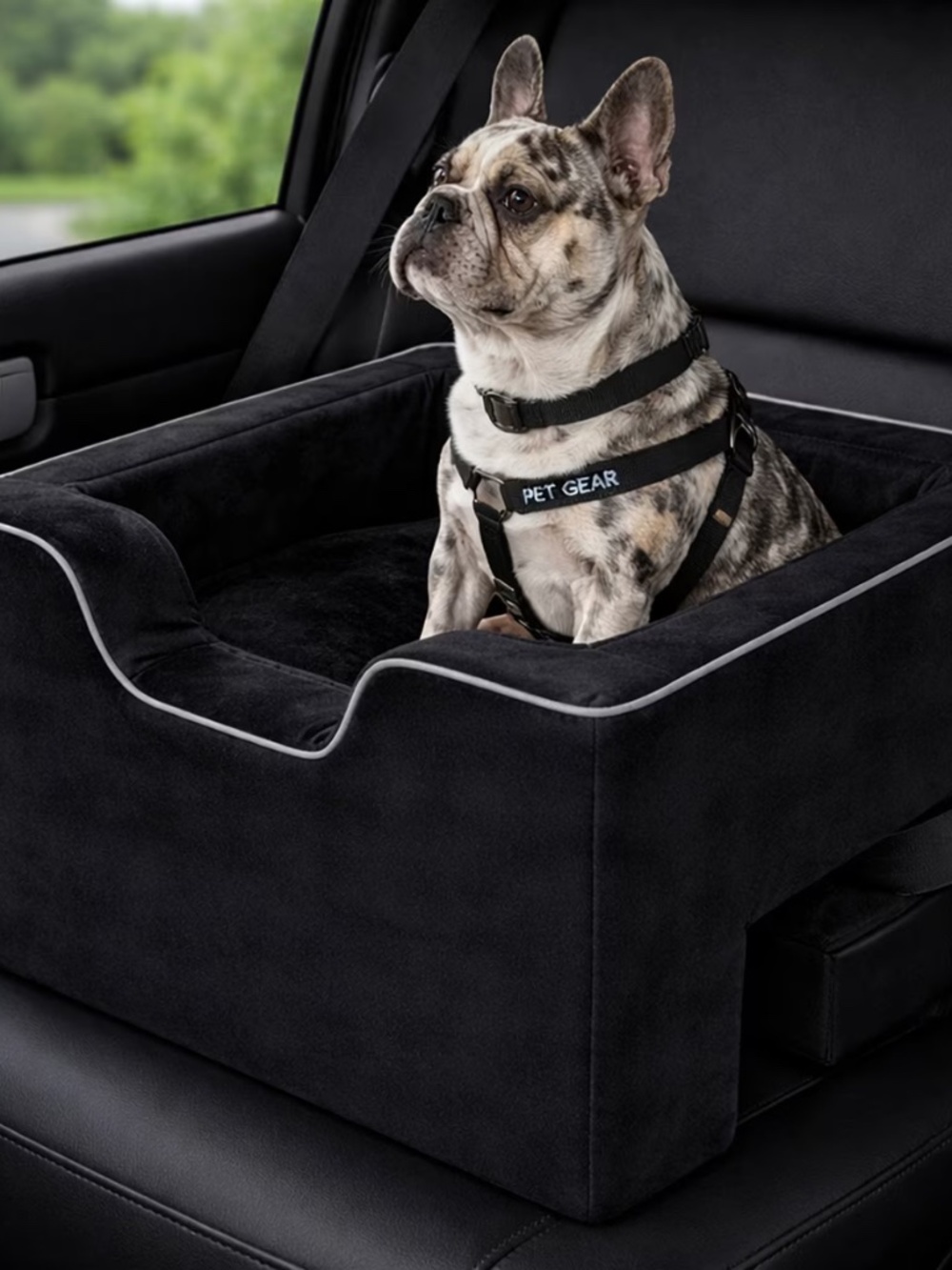 Petgear Dog Car Booster Seat